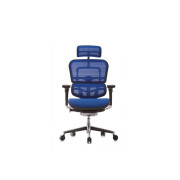 ergohuman mesh chair